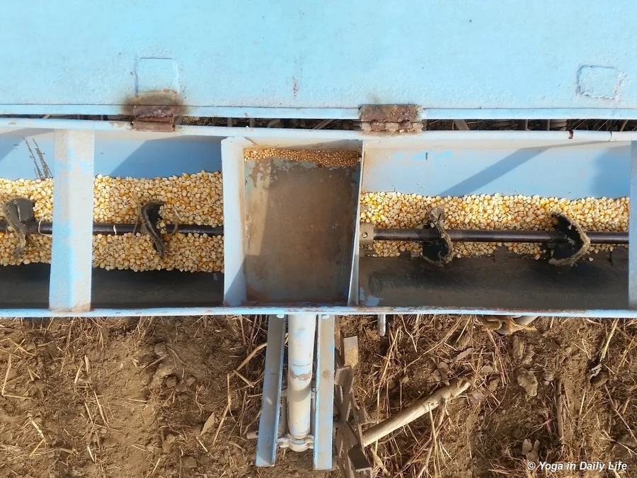 The seeds get planted as the tractor moves forward